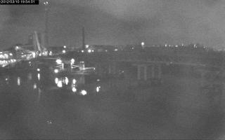 195401_707565727.jpg