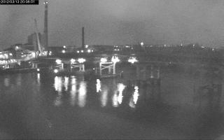 200801_049545361.jpg