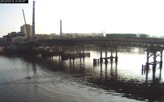 154601_562025304.jpg