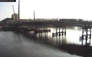 155101_455126766.jpg