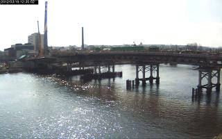 123502_008644237.jpg
