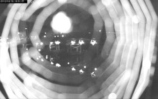 195101_908920879.jpg