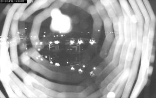 195901_411695782.jpg