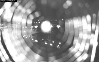 192601_250535218.jpg