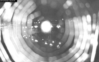 193701_390036397.jpg