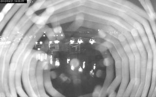 190501_341461988.jpg