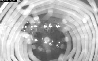 192301_137927875.jpg