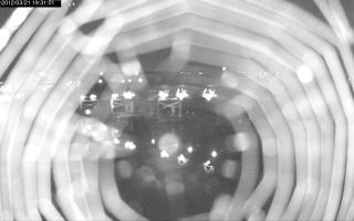 193101_548259534.jpg