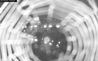 193401_208632966.jpg