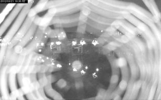 193502_114333667.jpg