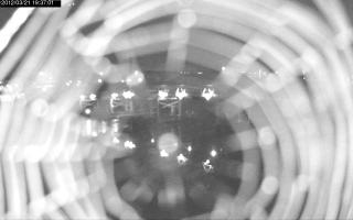 193701_181065800.jpg