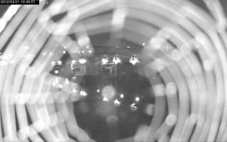 193901_352846424.jpg