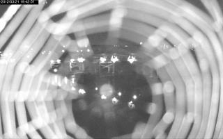 194201_933221236.jpg