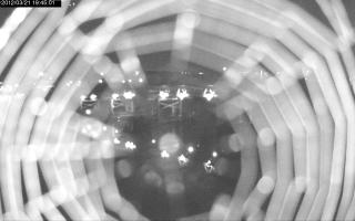 194501_147191309.jpg