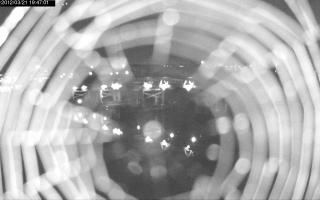 194701_309423515.jpg