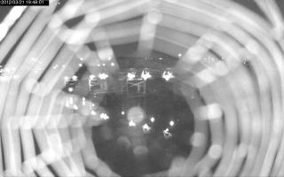 194801_387312626.jpg