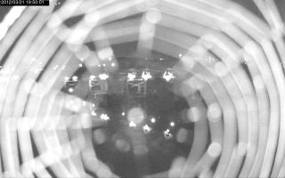 195001_928625615.jpg