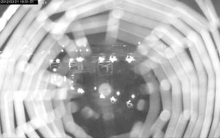 195101_676910737.jpg