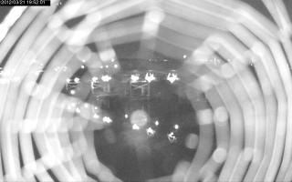 195201_698955037.jpg