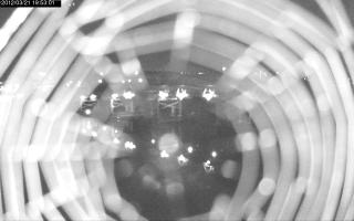 195301_469994055.jpg
