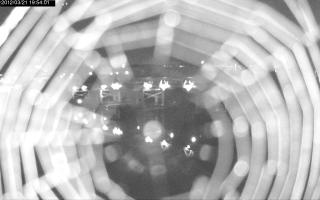 195401_624158791.jpg
