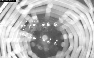 195501_408656863.jpg