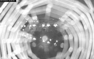 195601_634097886.jpg