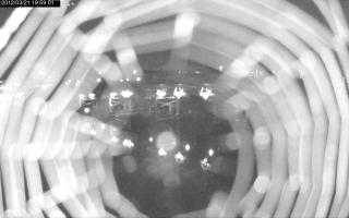 195901_389133033.jpg