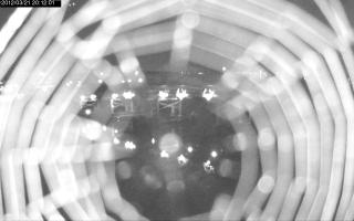 201201_507098709.jpg