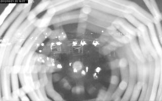 201901_936063755.jpg