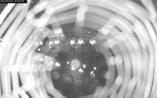 202001_926161582.jpg