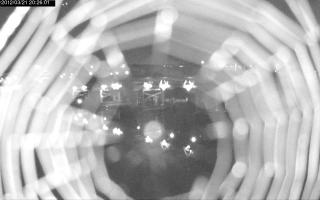 202601_873976474.jpg