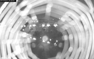 202901_673559540.jpg