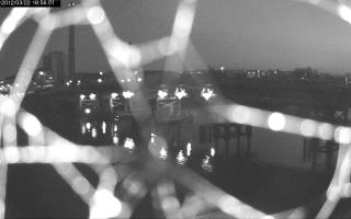 185601_572499731.jpg