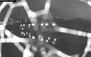 190401_713386925.jpg