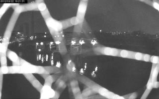 192101_337497353.jpg