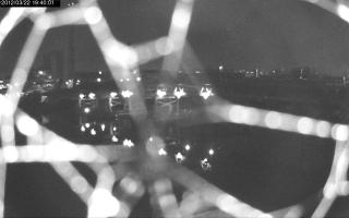 194001_753025200.jpg