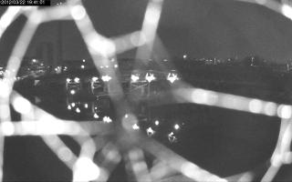 194101_527433160.jpg