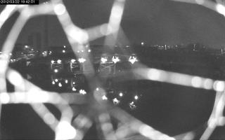 194201_423532889.jpg