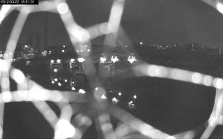 195101_574357049.jpg