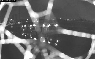 195201_589161617.jpg