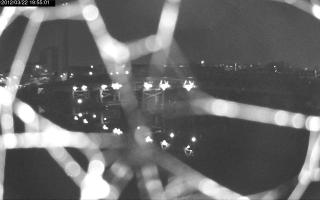195501_907047629.jpg