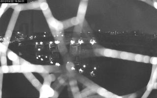 195601_174043571.jpg
