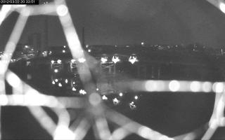 203301_903732171.jpg