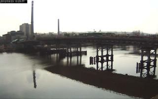 132501_268288526.jpg