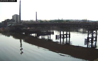 134901_520486531.jpg