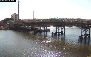 141401_323454520.jpg
