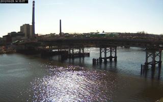 141501_795482904.jpg