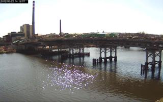 141801_581897953.jpg