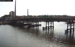 145501_329419085.jpg